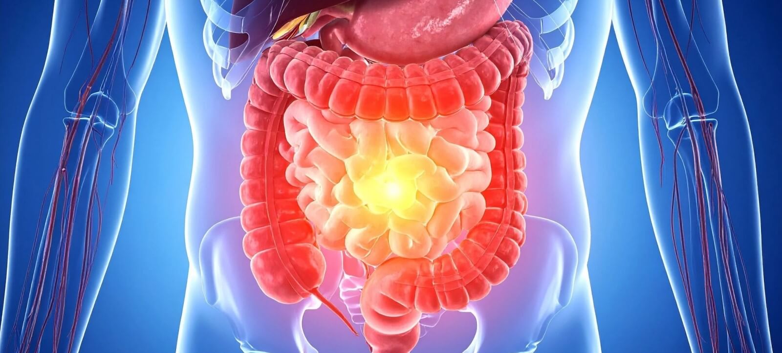 Digestive Enzymes Gut Health